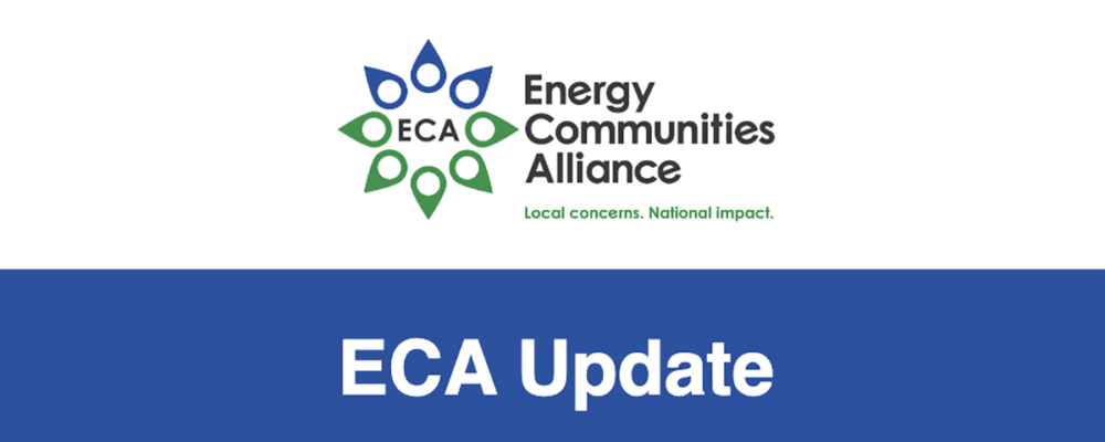 ECA Newsletter